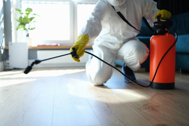 Reliable Biohazard contractor in California City, CA by Dulley Family Biohazard Services